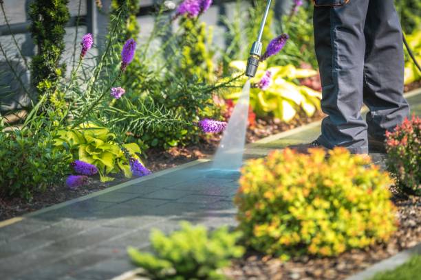  , DC Pressure Washing Pros